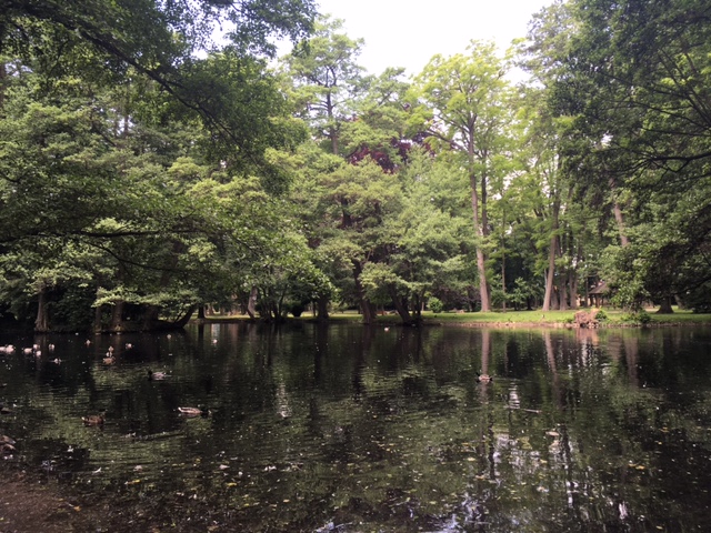 Výlet do Pezinku - Zámocký park.