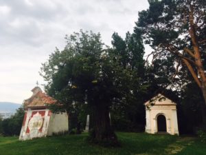 Čo vidieť v Prešove - kalvária