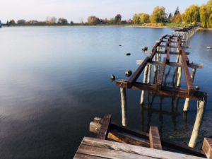 Bobria hrádza v Kuchyni