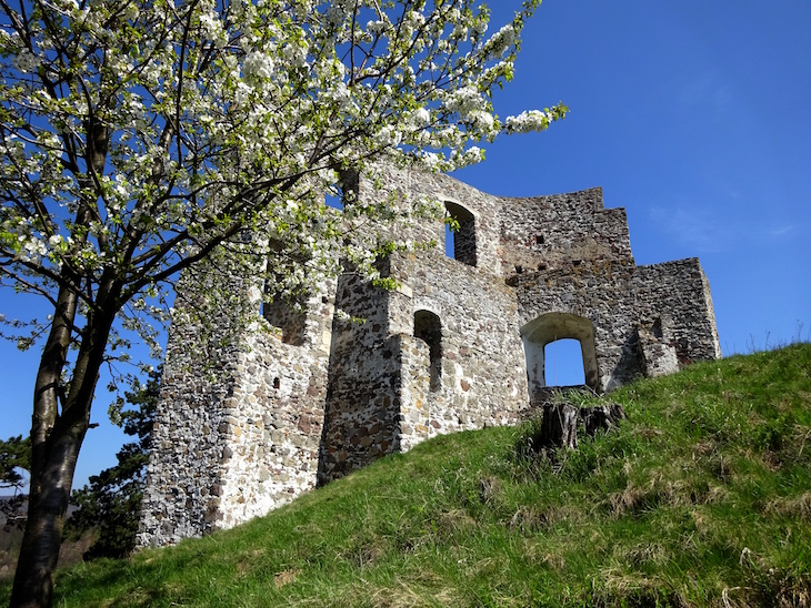 Zrúcaniny hradov - Dobrá Niva