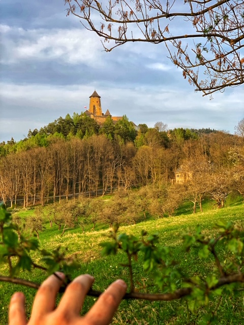 Čo robiť v Starej Ľubovni? Hrad Ľubovňa