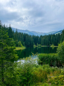 Vrbické pleso